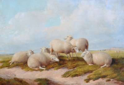 Moutons - Thomas Sidney Cooper